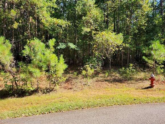 0.95 Acres of Residential Land for Sale in Fair Play, South Carolina