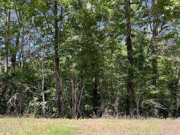 1.61 Acres of Residential Land for Sale in Brandon, Mississippi