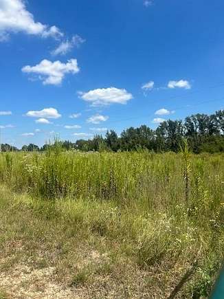 26.444 Acres of Agricultural Land for Sale in Ben Wheeler, Texas