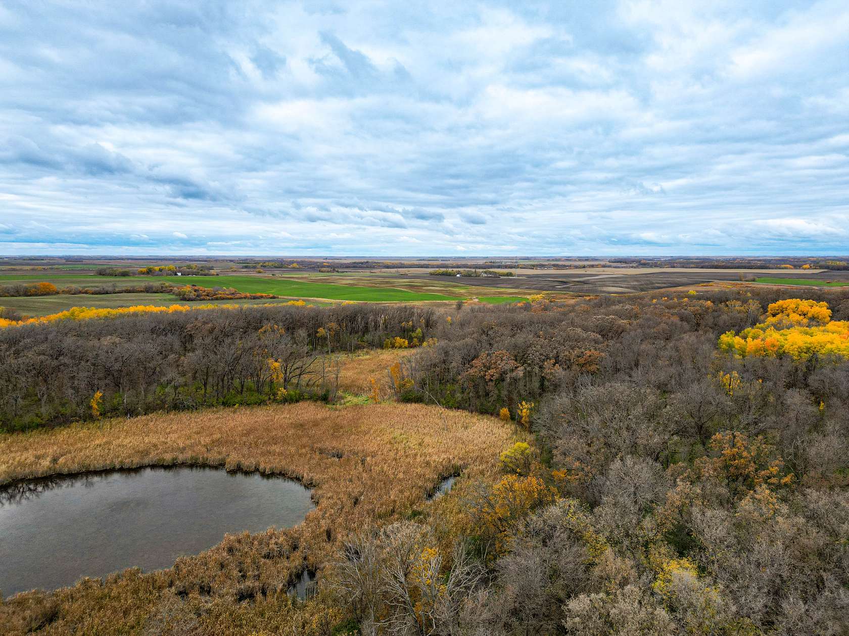 40 Acres of Recreational Land & Farm for Sale in Mahnomen, Minnesota