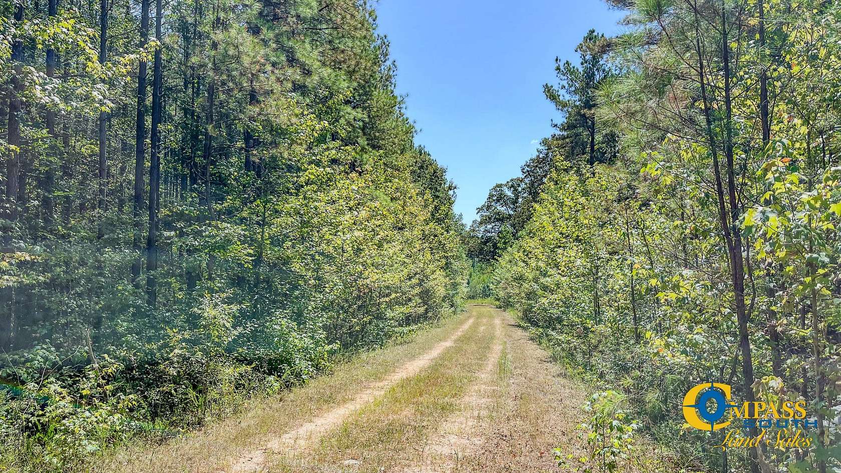 301 Acres of Recreational Land for Sale in Henry, Tennessee