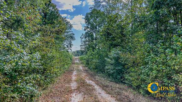 192 Acres of Recreational Land for Sale in Henry, Tennessee