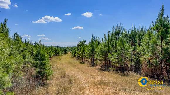 163 Acres of Recreational Land for Sale in Henry, Tennessee