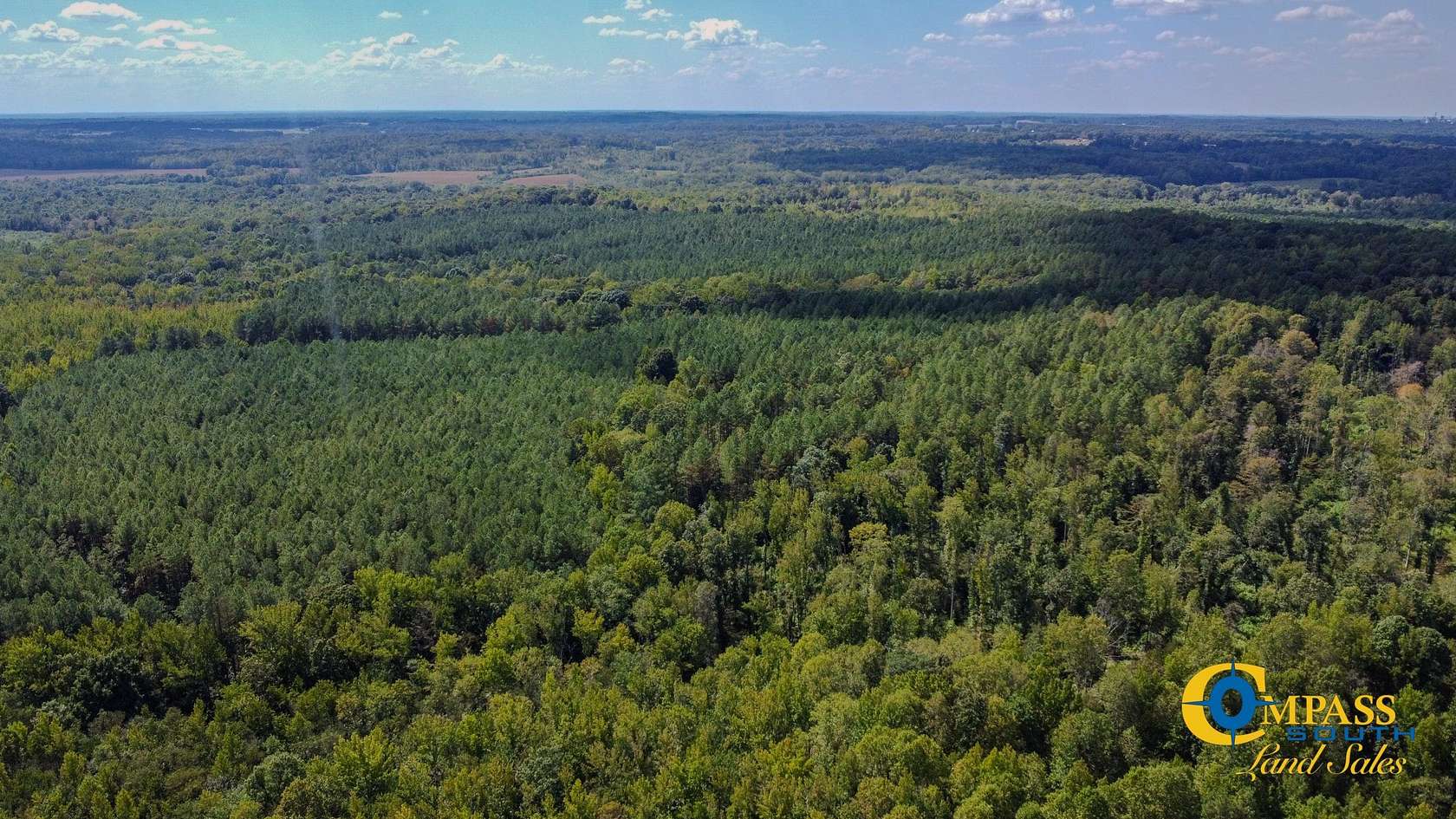 147 Acres of Recreational Land for Sale in Henry, Tennessee