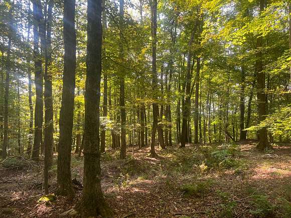 13.77 Acres of Recreational Land for Sale in Camden, New York