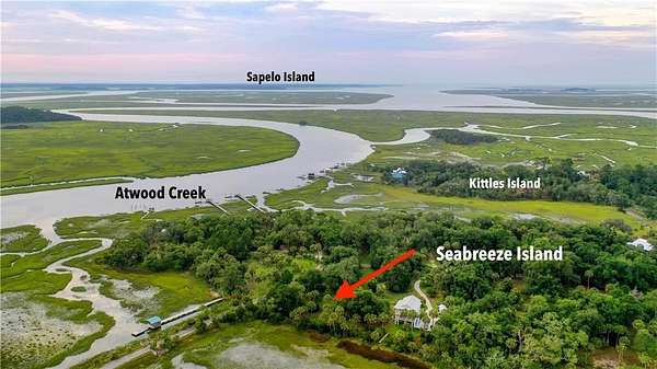 1 Acre of Residential Land for Sale in Darien, Georgia