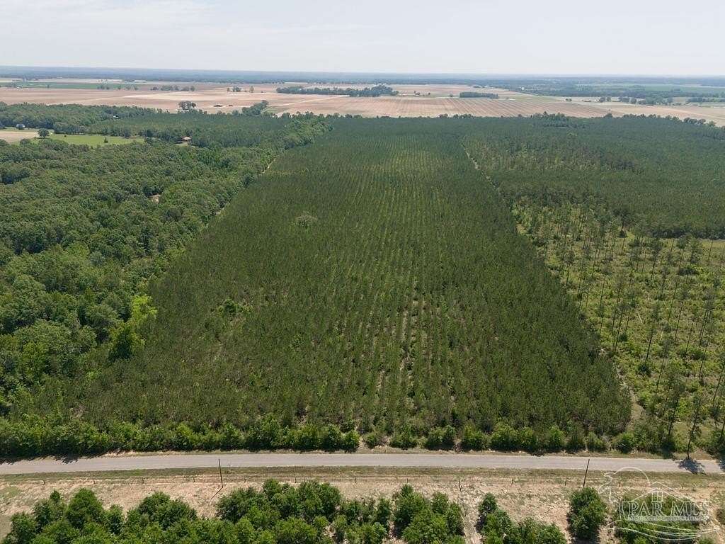 15.14 Acres of Land for Sale in Jay, Florida