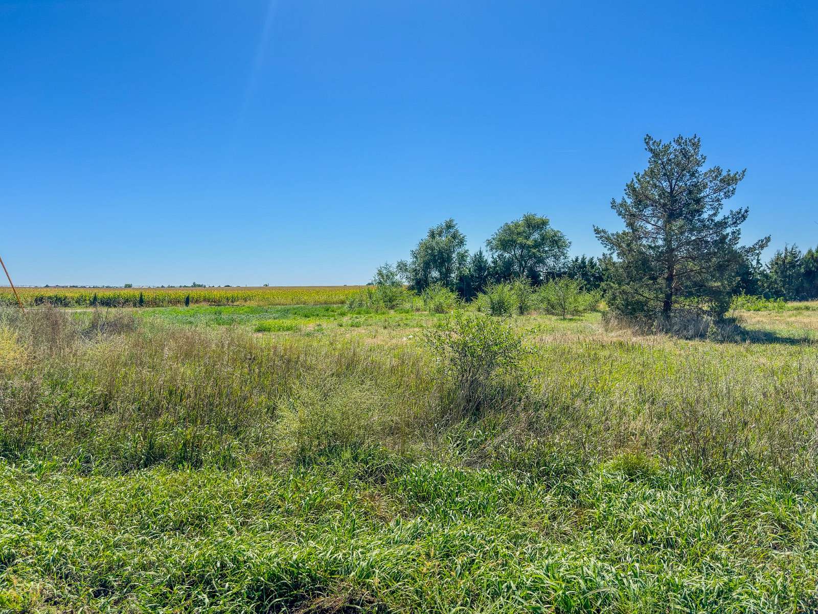 0.342 Acres of Residential Land for Sale in Holyoke, Colorado