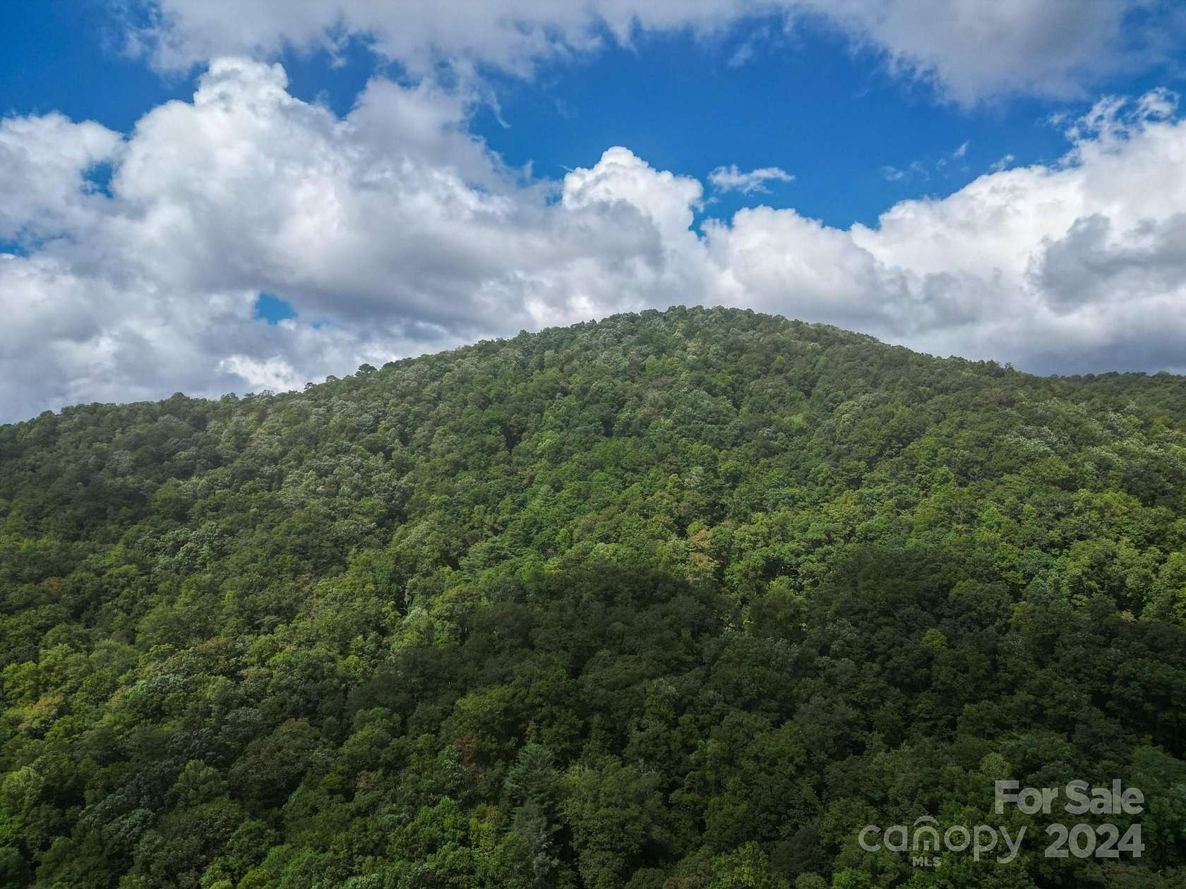 20 Acres of Recreational Land for Sale in Pisgah Forest, North Carolina