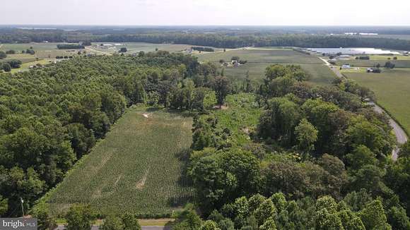 13.59 Acres of Land for Sale in Georgetown, Delaware