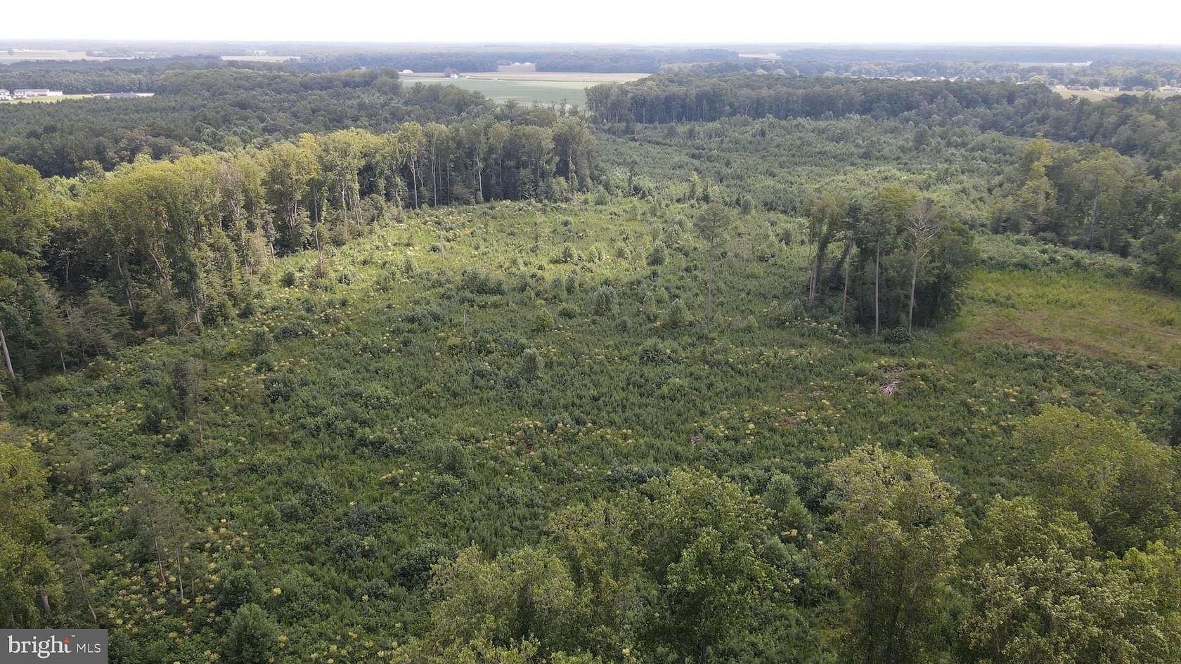 18.3 Acres of Land for Sale in Georgetown, Delaware