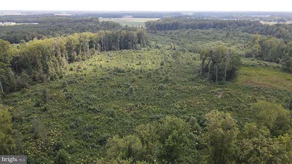 18.3 Acres of Land for Sale in Georgetown, Delaware