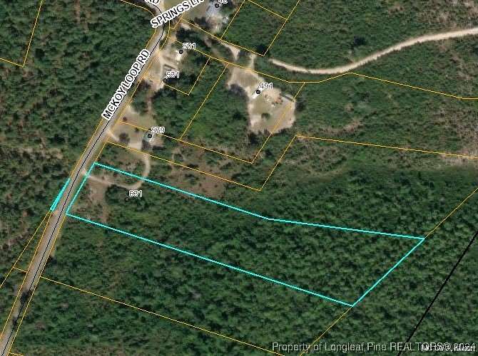 9.65 Acres of Residential Land for Sale in Ivanhoe, North Carolina