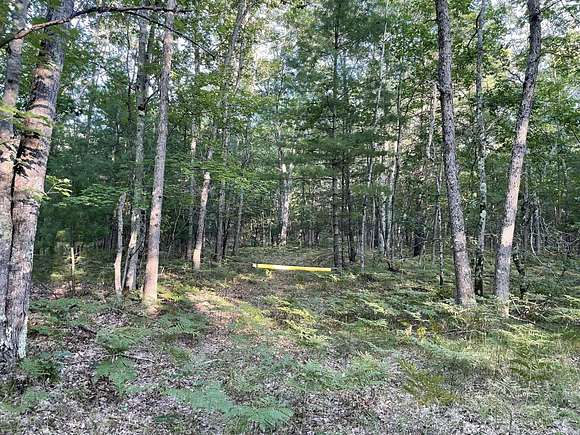 40 Acres of Recreational Land for Sale in Free Soil, Michigan