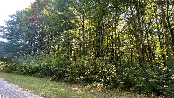 0.54 Acres of Land for Sale in Elmira, Michigan