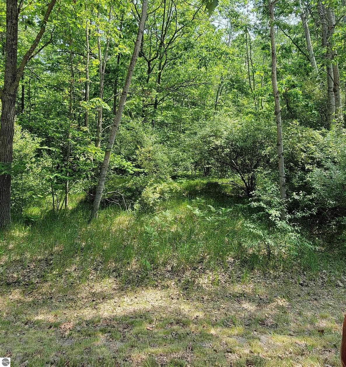 0.26 Acres of Residential Land for Sale in Lake Isabella, Michigan