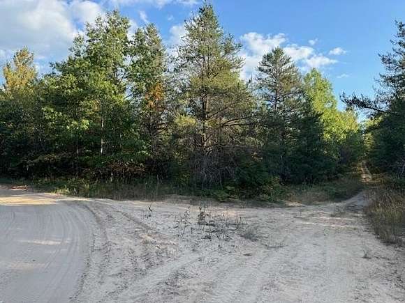 Land for Sale in Johannesburg, Michigan