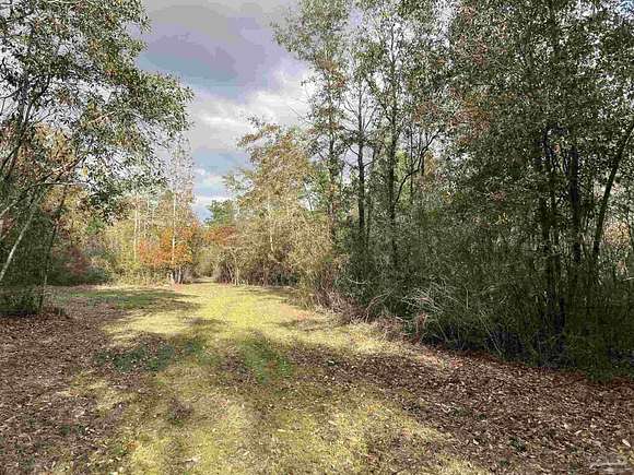 19.5 Acres of Land for Sale in Pace, Florida