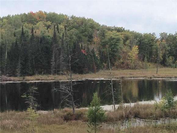 80 Acres of Land for Sale in Perry Lake Township, Minnesota