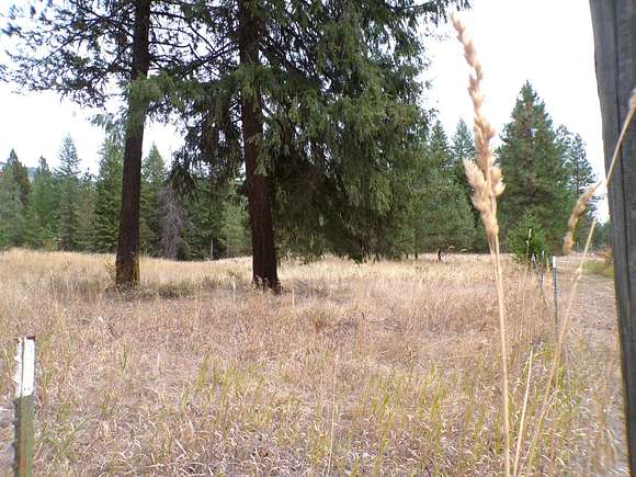 5 Acres of Land for Sale in Inchelium, Washington