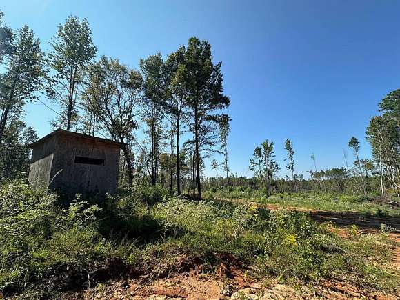 97 Acres of Recreational Land for Sale in Ackerman, Mississippi