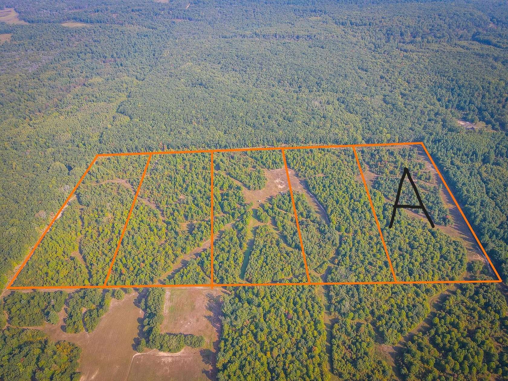 14 Acres of Recreational Land for Sale in Bitely, Michigan