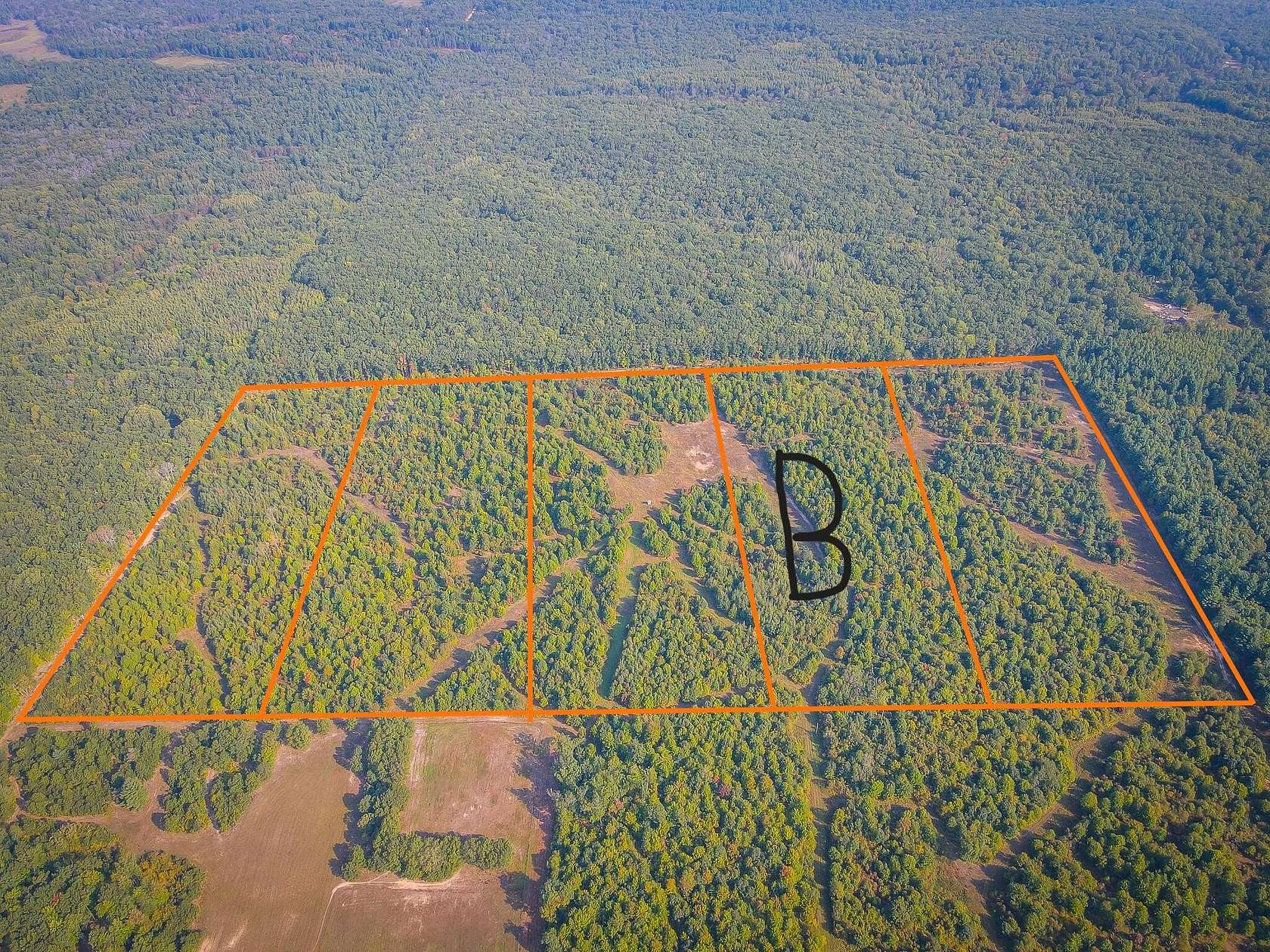 14 Acres of Recreational Land for Sale in Bitely, Michigan