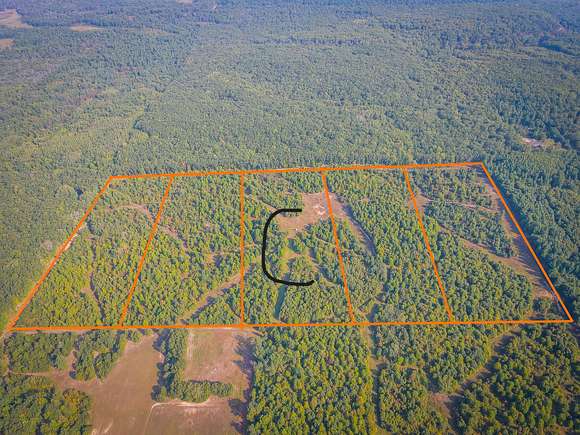 14 Acres of Recreational Land for Sale in Bitely, Michigan