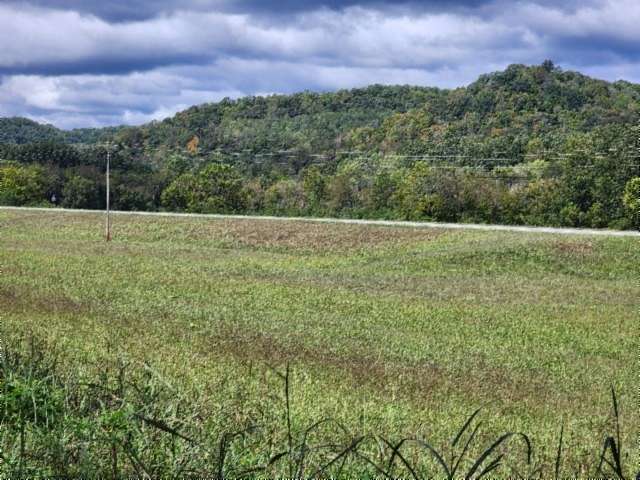 10.4 Acres of Land for Sale in Gainesboro, Tennessee