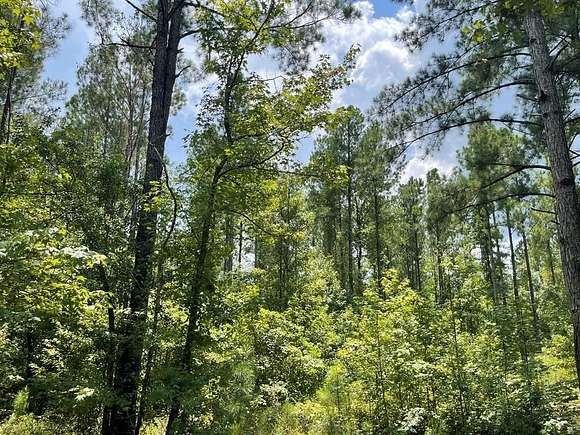 370 Acres of Recreational Land for Sale in Clopton, Alabama