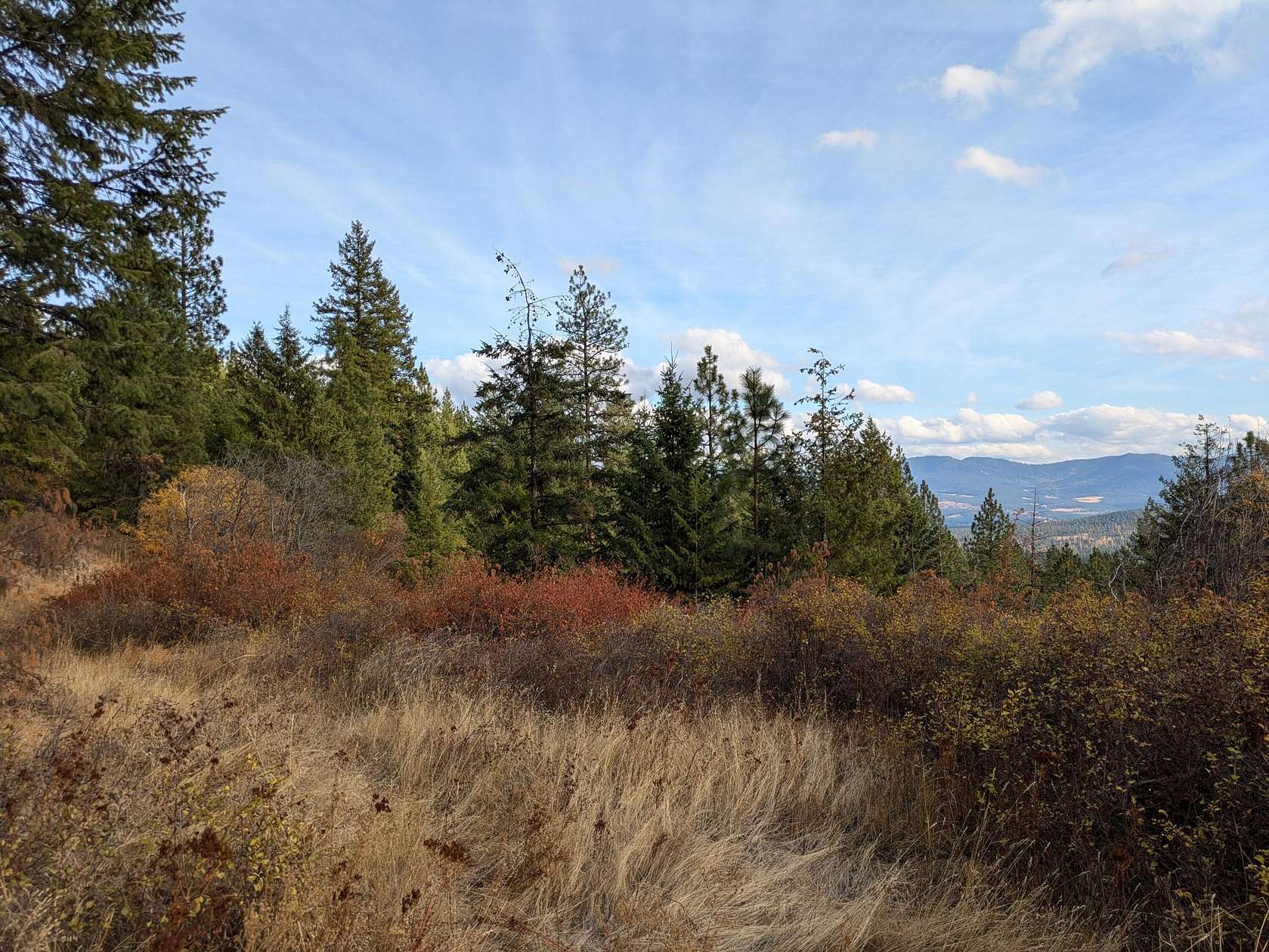 20 Acres of Recreational Land for Sale in Colville, Washington