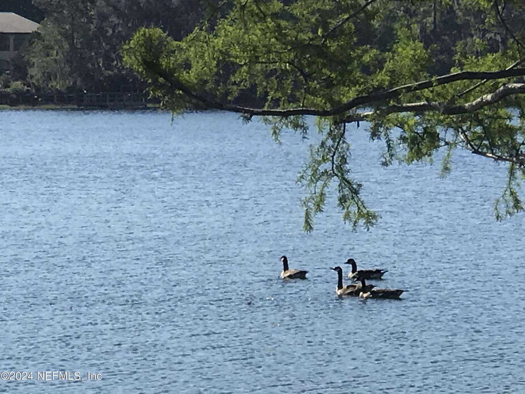 6 Acres of Residential Land for Sale in Interlachen, Florida