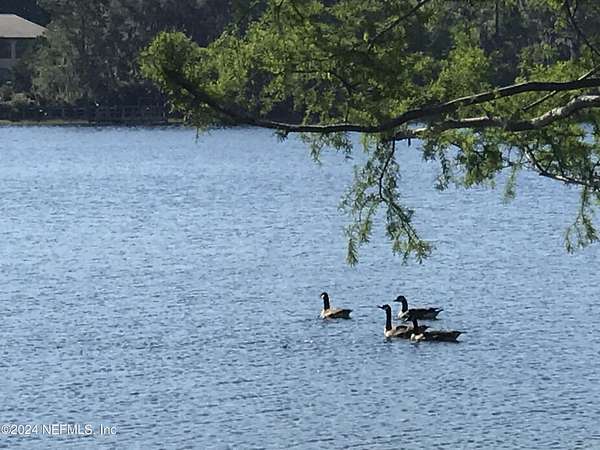 6 Acres of Residential Land for Sale in Interlachen, Florida