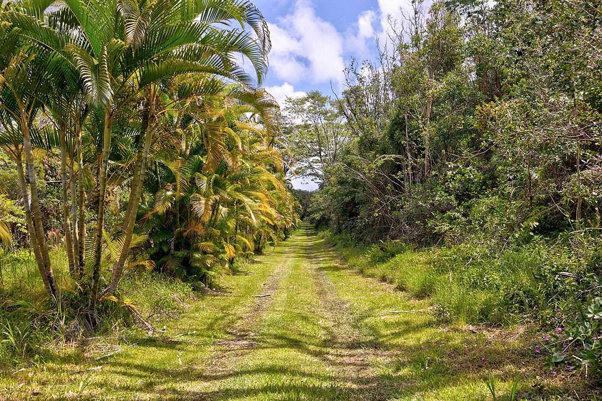 3 Acres of Residential Land with Home for Sale in Mountain View, Hawaii