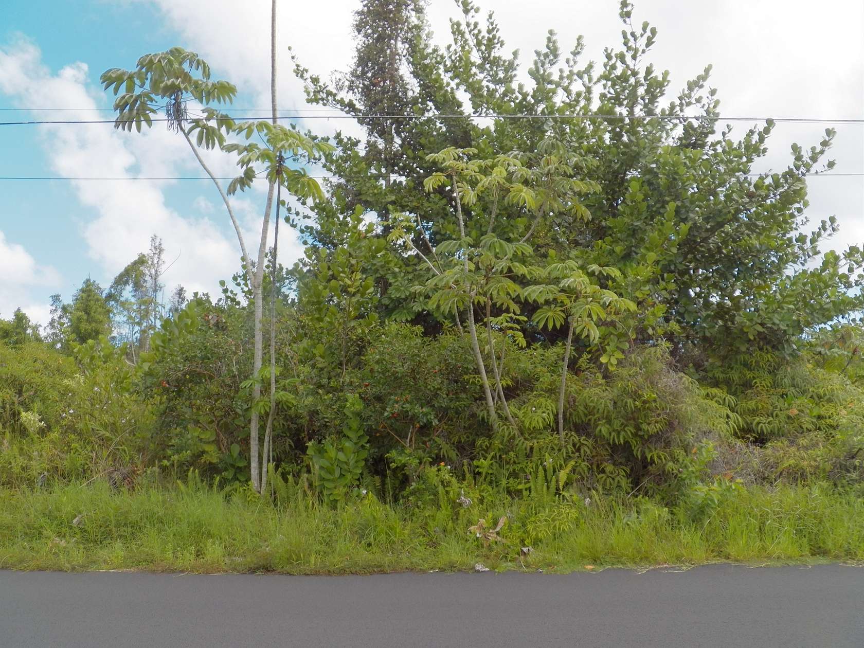 1 Acre of Residential Land for Sale in Keaau, Hawaii