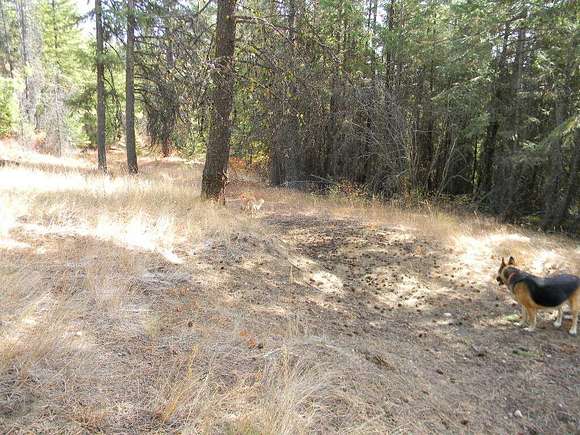 20 Acres of Recreational Land for Sale in Colville, Washington