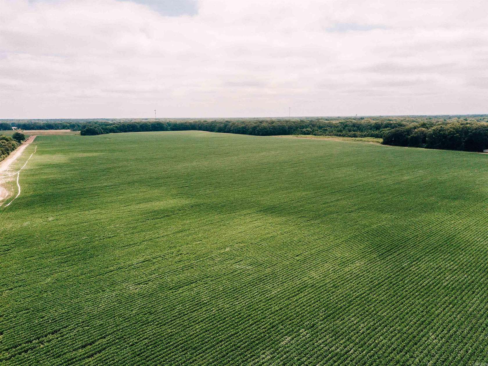433 Acres of Agricultural Land for Sale in DeWitt, Arkansas