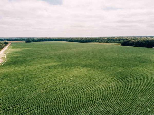433 Acres of Agricultural Land for Sale in DeWitt, Arkansas