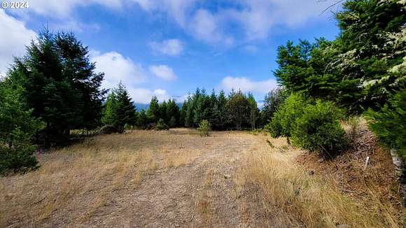 16.75 Acres of Recreational Land for Sale in Oakridge, Oregon