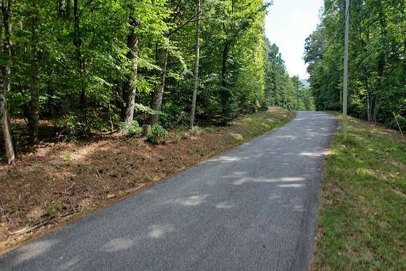 19.5 Acres of Land for Sale in Blairsville, Georgia