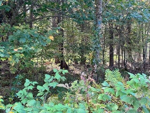 2.7 Acres of Residential Land for Sale in Orland, Maine