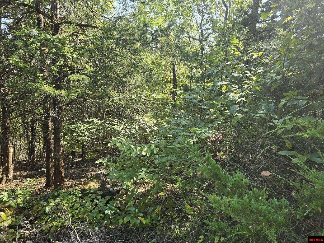 Land for Sale in Bull Shoals, Arkansas