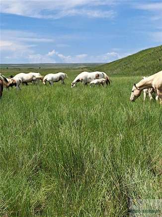 99.4 Acres of Agricultural Land for Sale in Broadview, Montana