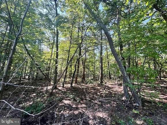 3 Acres of Residential Land for Sale in Luray, Virginia