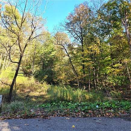 4.419 Acres of Residential Land for Sale in Canfield, Ohio