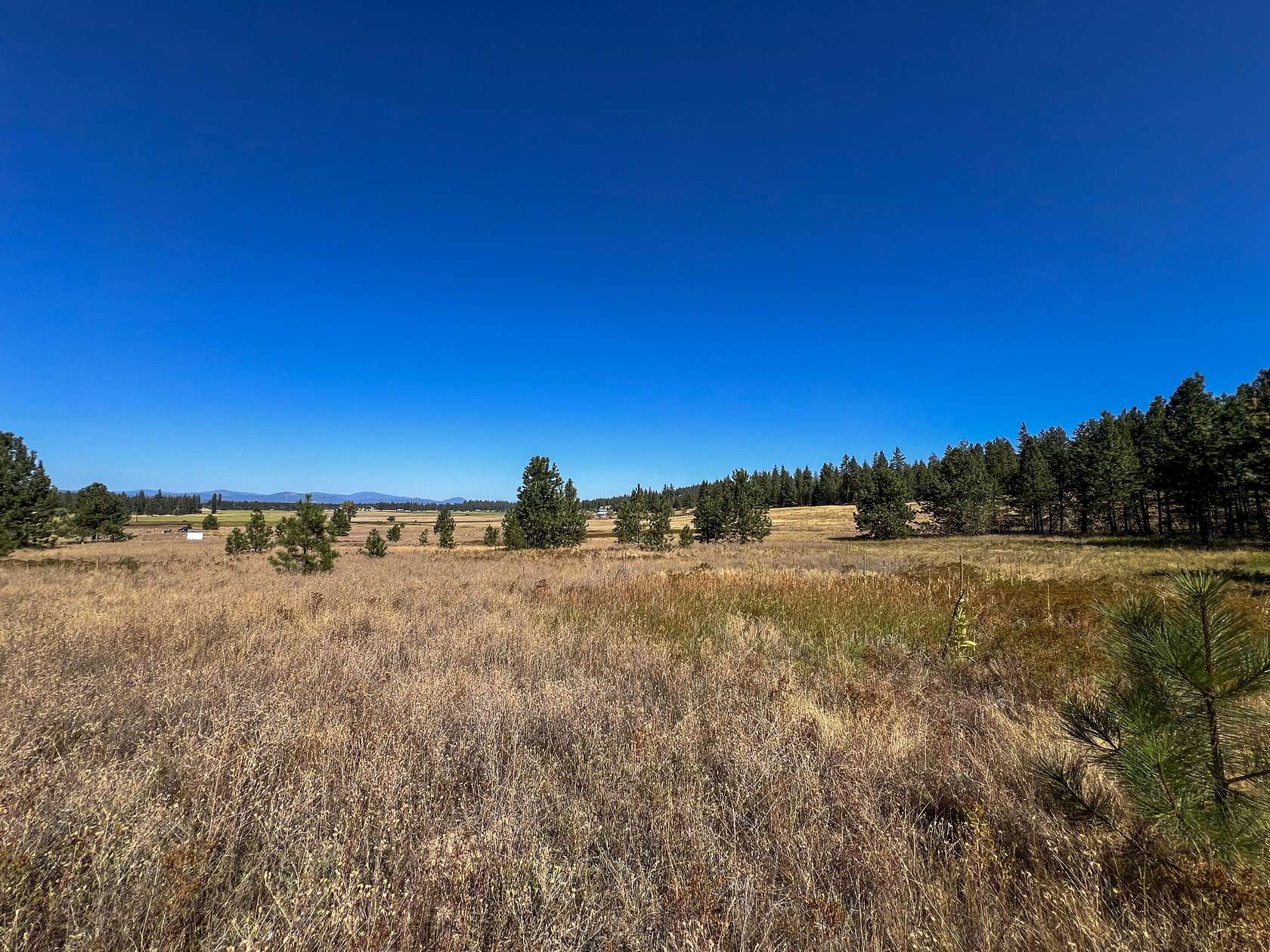 19.88 Acres of Land for Sale in Deer Park, Washington