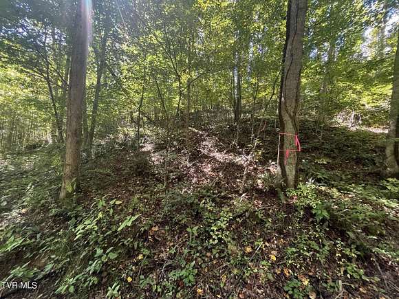 1.11 Acres of Residential Land for Sale in Mountain City, Tennessee