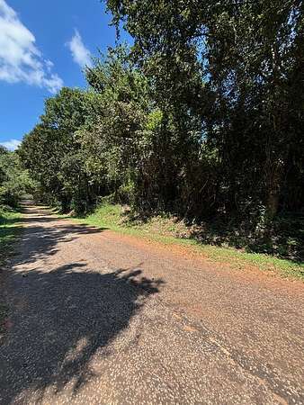 0.12 Acres of Residential Land for Sale in Palestine, Texas