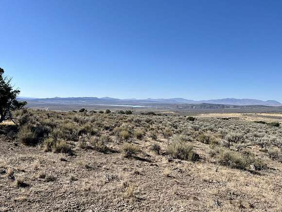 10.45 Acres of Land for Sale in Spring Creek, Nevada