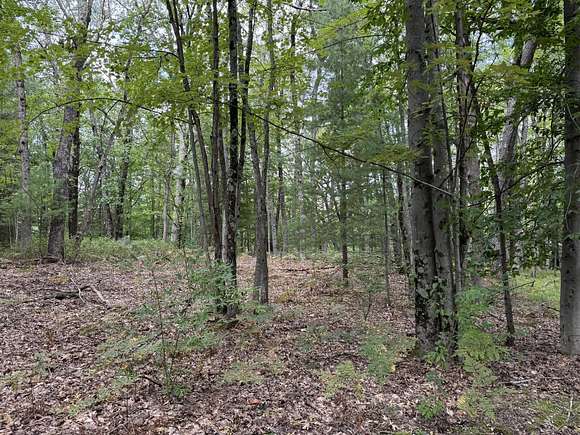 1.21 Acres of Residential Land for Sale in Irons, Michigan